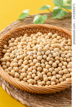 Soybean yellow back Soybean yellow back 142688971