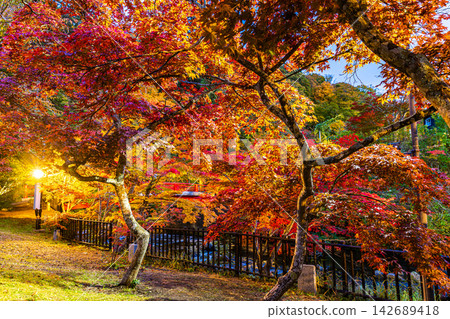 青森縣中野紅葉山的秋景,層林盡染,美不勝收。 青森縣中野紅葉山的秋景,層林盡染,美不勝收。 142689418
