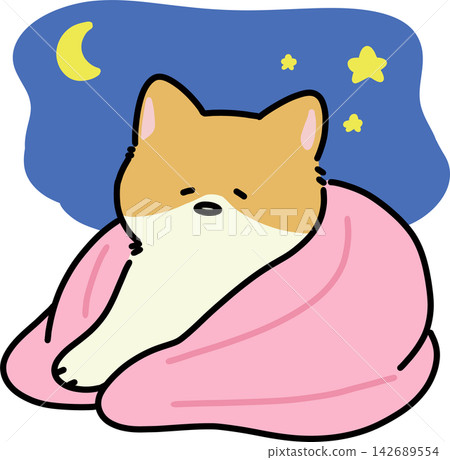 Cat Sleeping under Blanket Cat Sleeping under Blanket 142689554