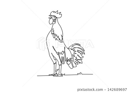 Single one line drawing farm rooster crowing loudly at daybreak with head tilted back, arched tail plumage, prominent comb, rural poultry life. Continuous line draw design graphic vector illustration Single one line drawing farm rooster crowing loudly at daybreak with head tilted back, arched tail plumage, prominent comb, rural poultry life. Continuous line draw design graphic vector illustration 142689697
