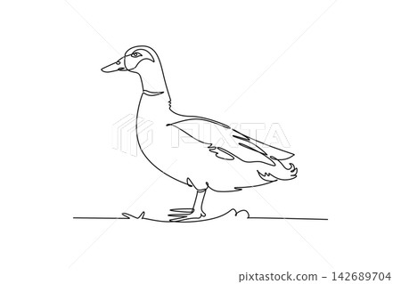 Continuous one line drawing domestic farm duck standing calmly on ground, Smooth bill, wing feathers, webbed feet, rural waterfowl livestock charm. Single line draw design vector graphic illustration Continuous one line drawing domestic farm duck standing calmly on ground, Smooth bill, wing feathers, webbed feet, rural waterfowl livestock charm. Single line draw design vector graphic illustration 142689704