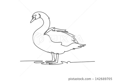Continuous one line drawing graceful farm swan standing near ground. Elegant curved neck, feathered wings, webbed feet, tranquil waterfowl beauty. Single line draw design vector graphic illustration Continuous one line drawing graceful farm swan standing near ground. Elegant curved neck, feathered wings, webbed feet, tranquil waterfowl beauty. Single line draw design vector graphic illustration 142689705