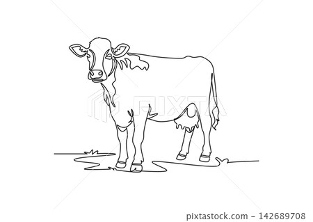Continuous one line drawing animal farm dairy cow on the pasture ground. Domestic cattle livestock biology, rural agriculture, and ranch nature art. Single line draw design vector graphic illustration 142689708