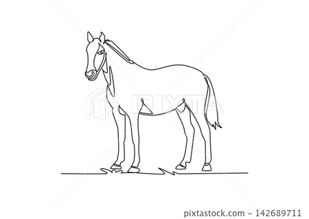Single continuous line drawing farm horse standing peacefully on the pasture grass. Trimmed mane, slender legs, domestic equine nature, rustic ranch. One line draw graphic design vector illustration Single continuous line drawing farm horse standing peacefully on the pasture grass. Trimmed mane, slender legs, domestic equine nature, rustic ranch. One line draw graphic design vector illustration 142689711