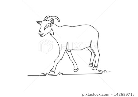 Single continuous line drawing domestic farm goat walking calmly through a pasture. Curved horns, alert ears, sturdy hooves, and rural livestock grace. One line draw graphic design vector illustration Single continuous line drawing domestic farm goat walking calmly through a pasture. Curved horns, alert ears, sturdy hooves, and rural livestock grace. One line draw graphic design vector illustration 142689713