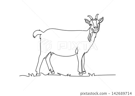 Single continuous line drawing goat standing quietly on pasture ground. Alert horn, head turned forward, hooves, domestic livestock, rural agriculture. One line draw graphic design vector illustration 142689714