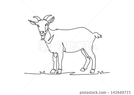 Single continuous line drawing domestic farm goat standing alertly in a field. Curved horns, a distinct chin beard, hooves, and rural livestock charm. One line draw graphic design vector illustration Single continuous line drawing domestic farm goat standing alertly in a field. Curved horns, a distinct chin beard, hooves, and rural livestock charm. One line draw graphic design vector illustration 142689715