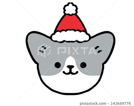 戴著聖誕帽的貓(材質) 戴著聖誕帽的貓(材質) 142689776