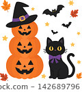 Cute black cat and pumpkin 142689796