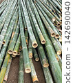 Freshly Cut Green Bamboo Poles Piled on Construction Site for Natural Building Material. 142690040
