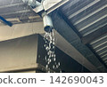 Broken and fall drain galvanized pipe of roof gutter. 142690043