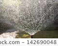 Pop-up Sprinkler Head Spraying Water on a Lush Green Lawn in the Garden. 142690048