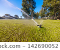 Pop-up Sprinkler Head Spraying Water on a Lush Green Lawn in the Park. 142690052