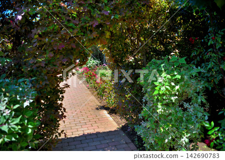 Kanto Region, Shonan, Hanana Garden, Image of rose arches placed within the garden, Hiratsuka City, Kanagawa Prefecture (9) Kanto Region, Shonan, Hanana Garden, Image of rose arches placed within the garden, Hiratsuka City, Kanagawa Prefecture (9) 142690783