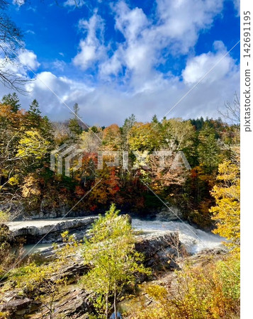 The clear stream flowing vigorously around the Sandan Falls in Eniwa Valley in autumn, and the vibrant autumn foliage. The clear stream flowing vigorously around the Sandan Falls in Eniwa Valley in autumn, and the vibrant autumn foliage. 142691195
