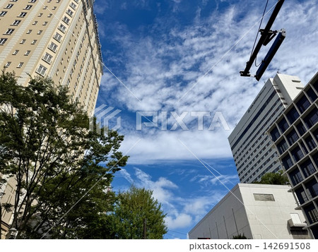 urban landscape with buildings urban landscape with buildings 142691508