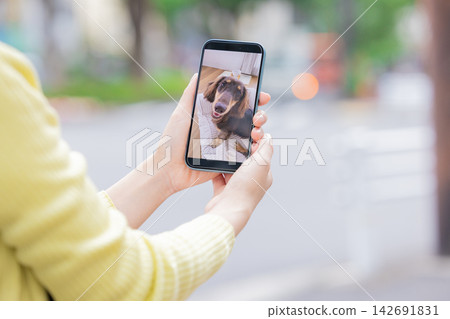 寵物:寵物主人外出時可以透過連接寵物攝影機來查看自己的狗狗。 寵物:寵物主人外出時可以透過連接寵物攝影機來查看自己的狗狗。 142691831