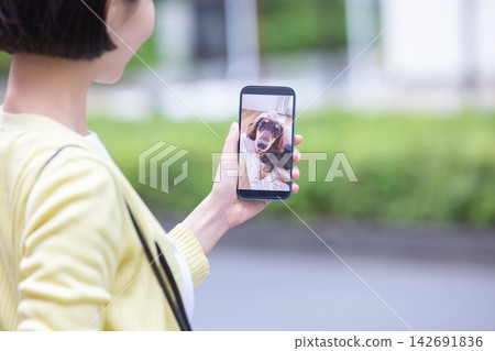 Pets: A pet owner can check on their dog by connecting a pet camera while they are out. Pets: A pet owner can check on their dog by connecting a pet camera while they are out. 142691836