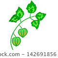 Ogre 142691856
