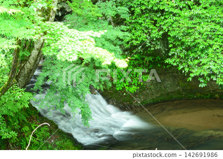 茨城縣日立宮市十二大淵,瀑布流經鬱鬱蔥蔥的綠植,周圍環繞著綠色的楓葉。 茨城縣日立宮市十二大淵,瀑布流經鬱鬱蔥蔥的綠植,周圍環繞著綠色的楓葉。 142691986