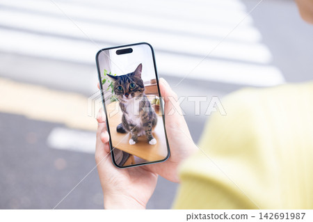 寵物-寵物主人外出時可以透過連接寵物攝影機來查看寵物的狀況。 寵物-寵物主人外出時可以透過連接寵物攝影機來查看寵物的狀況。 142691987
