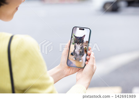 寵物－寵物主人外出時可以透過連接寵物攝影機來查看寵物的狀況。 142691989
