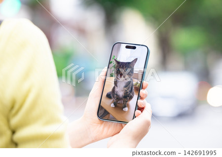 寵物-寵物主人外出時可以透過連接寵物攝影機來查看寵物的狀況。 寵物-寵物主人外出時可以透過連接寵物攝影機來查看寵物的狀況。 142691995
