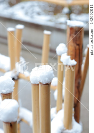 積雪覆蓋的樹籬 142692011