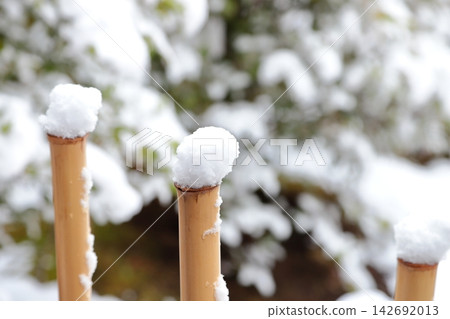 Snow-covered hedge Snow-covered hedge 142692013