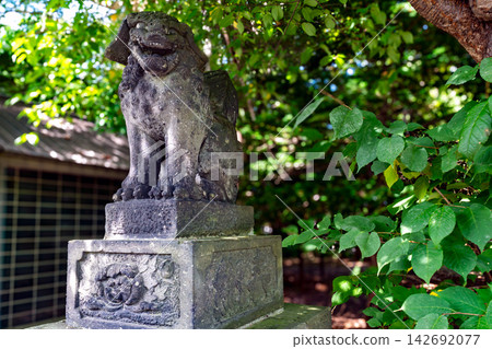 Nishikiyama Tenmangu Shrine, Komainu (guardian lion-dogs), Ebetsu City, Hokkaido, deep green Nishikiyama Tenmangu Shrine, Komainu (guardian lion-dogs), Ebetsu City, Hokkaido, deep green 142692077