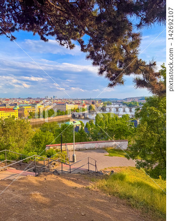 View of Prague bridges and Vltava river from a green hillside during daytime View of Prague bridges and Vltava river from a green hillside during daytime 142692107