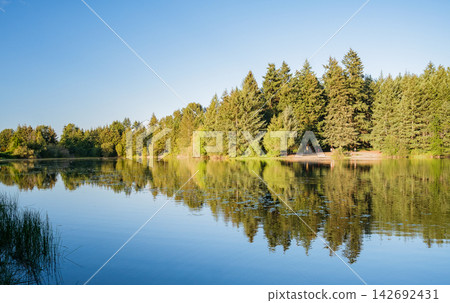 A wide view of a calm lake reflecting a lush green forest under a clear blue sky 142692431