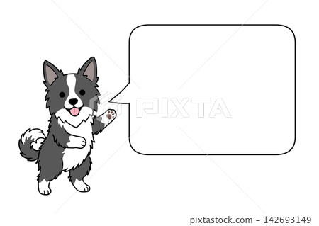 Border Collie and speech bubble illustration (announcement/notice) Border Collie and speech bubble illustration (announcement/notice) 142693149