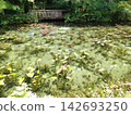 Pond of monet 142693250