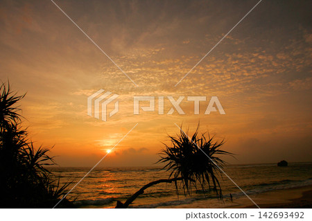 奄美大島的海上日落 奄美大島的海上日落 142693492
