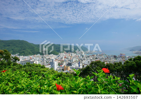 奄美市、奄美大島全景 奄美市、奄美大島全景 142693507