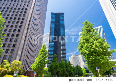 新宿副城區中心林立的摩天大樓和辦公大樓。 新宿副城區中心林立的摩天大樓和辦公大樓。 142693540