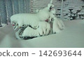 A motorcycle completely covered in thick snow from a heavy snowfall. 142693644