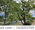 住宅社區的生活與風景 142693709