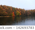 Rain and autumn leaves at Mishaka Pond 142693783