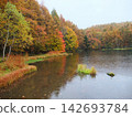 Rain and autumn leaves at Mishaka Pond 142693784