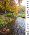 Rain and autumn leaves at Mishaka Pond 142693785