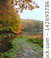 Rain and autumn leaves at Mishaka Pond 142693786