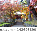 Autumn leaves and the main gate of Myogi Shrine 142693890