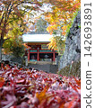 Autumn leaves and the main gate of Myogi Shrine 142693891