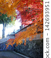 Autumn leaves of Shaabayashi Shintoji temple 142693951