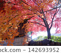 Autumn leaves of Shaabayashi Shintoji temple 142693952