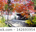 Autumn leaves of Shaabayashi Shintoji temple 142693954