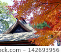 Autumn leaves of Shaabayashi Shintoji temple 142693956