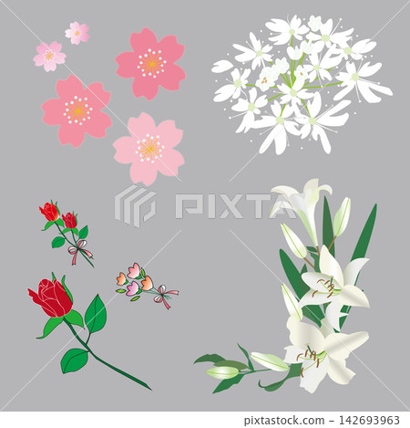 一組花卉插畫,包含櫻花、百合、玫瑰和白色小花 / 花卉、新娘、春季、單點設計 一組花卉插畫,包含櫻花、百合、玫瑰和白色小花 / 花卉、新娘、春季、單點設計 142693963